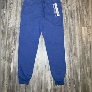 Hollister Blue Jogger Pants Size L NWT